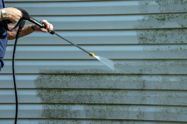 Best Sidewalk Pressure Washing  in Rushford, MN