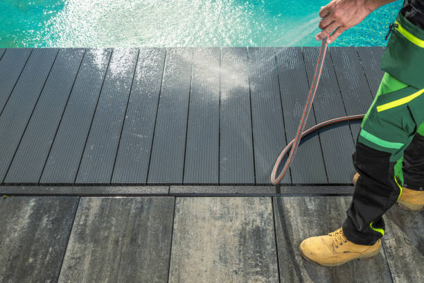 Best Power Washing Near Me  in Rushford, MN