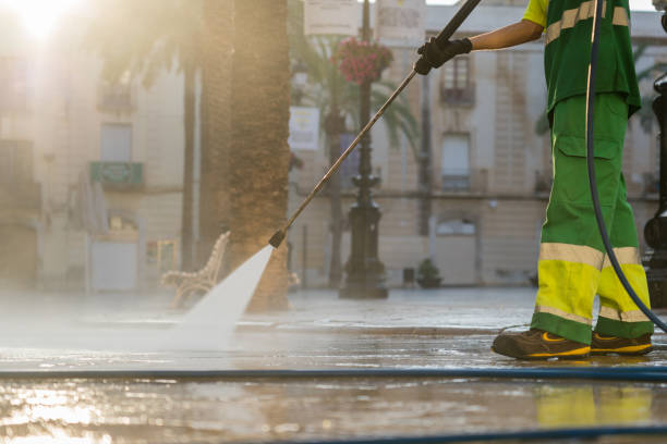 Best Deck Cleaning Services  in Rushford, MN